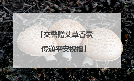 交警赠艾草香囊 传递平安祝福